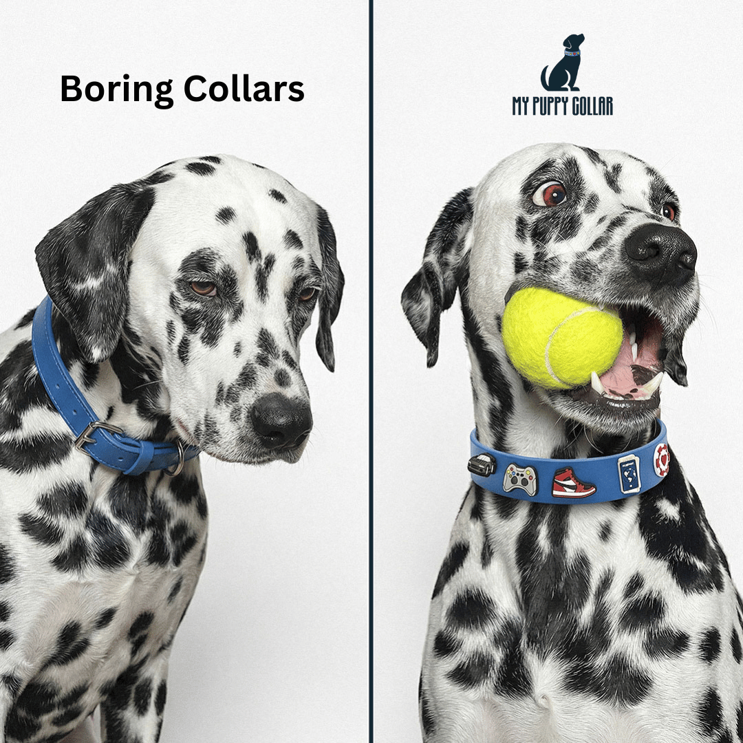 My Puppy Collar™